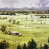 Hawkesbury Plains farmland after the rain from Freemans Reach