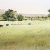 Watercolour landscape painting of Tumut farmland, NSW