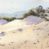 sand-dunes-fingal-bay